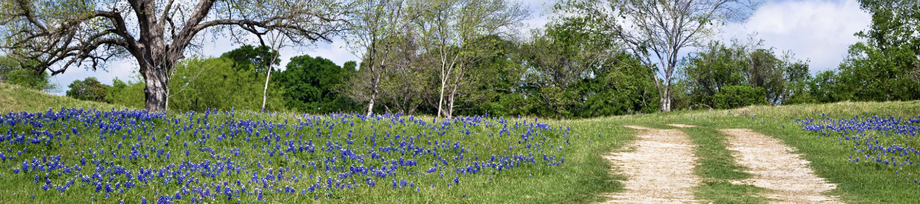 Waco Location